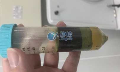 高速冷凍研磨均質(zhì)儀對蔬菜樣品前處理實驗研磨效果