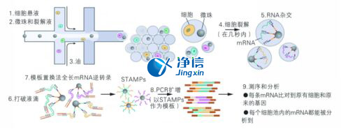 中國(guó)人自己的微流控單細(xì)胞測(cè)序儀來(lái)了！_微流控Drop-seq