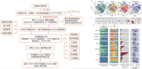 10X Genomics 單細胞轉錄組測序