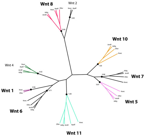 研究人員使用RNA-Seq來(lái)了解加勒比珊瑚礁珊瑚的漂白情況